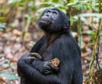 ���������.