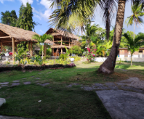 ���������, ����� 2024