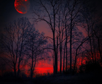 � ������ ����