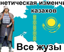����������� Y-��������� � ������� �� ����� � �����