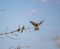 ���������������� ��������