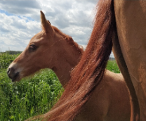 �� ���� ������� ���