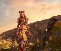 �������: Horizon Zero Dawn / Forbidden West.