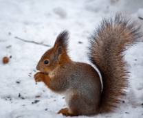 ���������������� �����