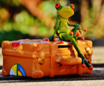 ����������� � �������