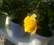 ��� ���� � ������ ��� ��������.