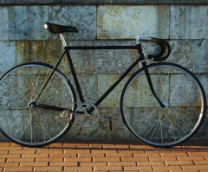 ���� ������ ������