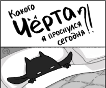 ������ ����� � ��������� �������?!