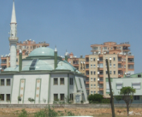 ��� ������