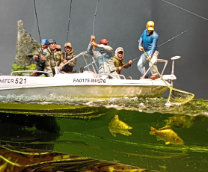 ������� ������.