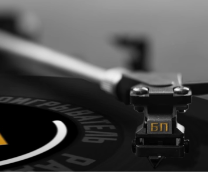 ���� �������