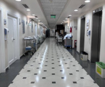 ���� � ���������