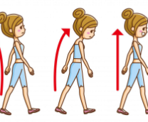 ��� ��������