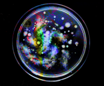 ����������. �������