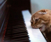 ����-��� ��� ��