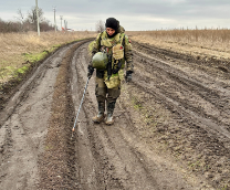 ����������� ���������� �� ��������������