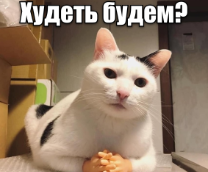 ����������� � ���������