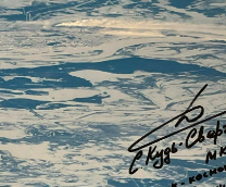 ������ ����������� 