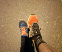 �����. ���. �����������. �����