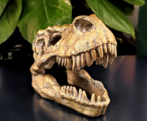 ��� ����������