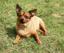 ������ ���� 