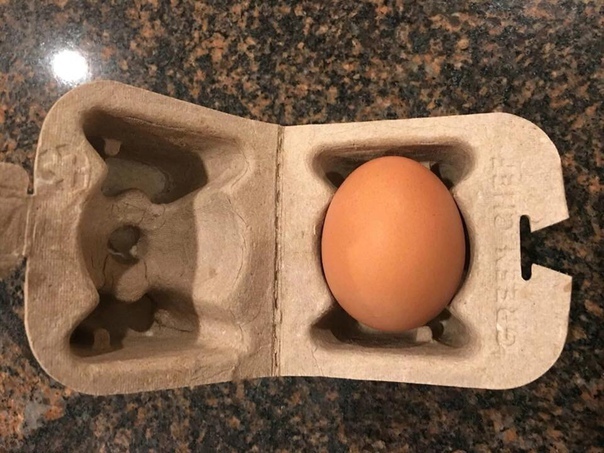 ������� ����