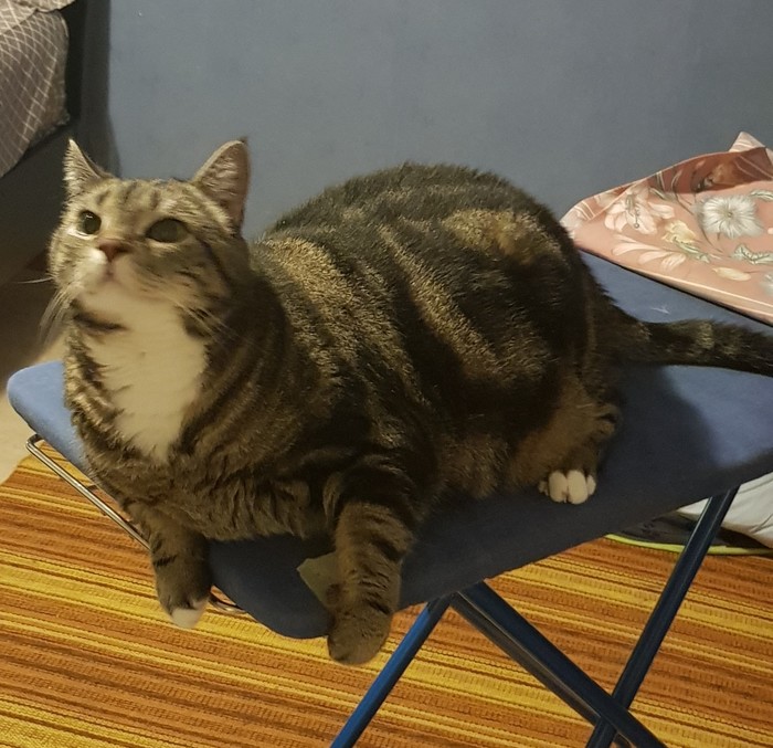 �� �� ����� ����,��� ������ :) ����� ���������