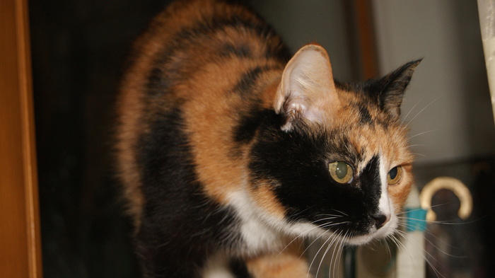 ���� ������ � ��������