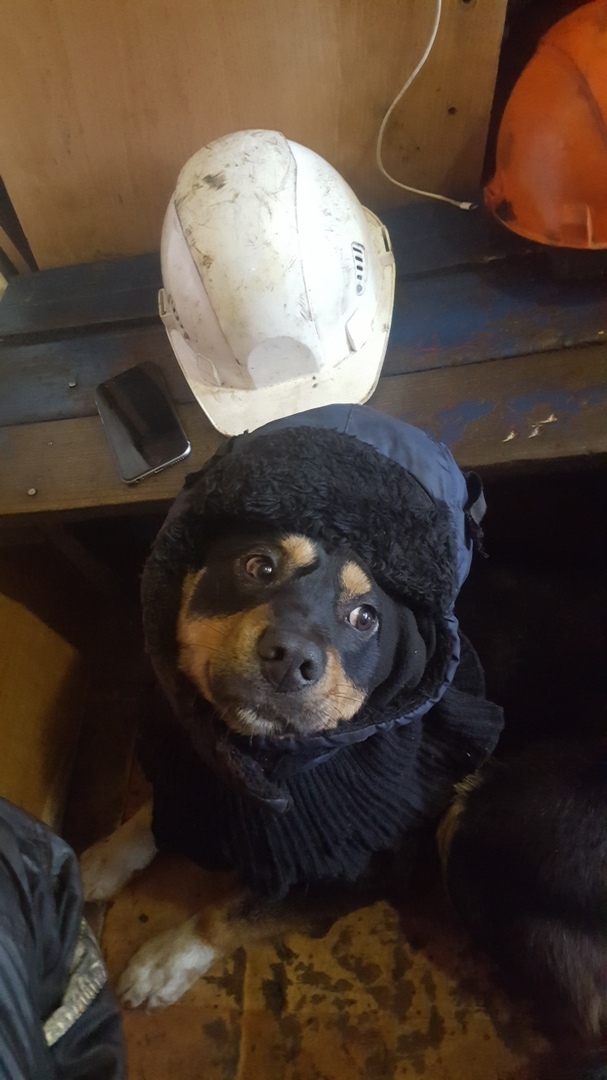    , , , , 