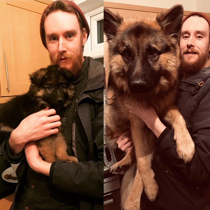 ���� ����� �����, ��������� ��� �����