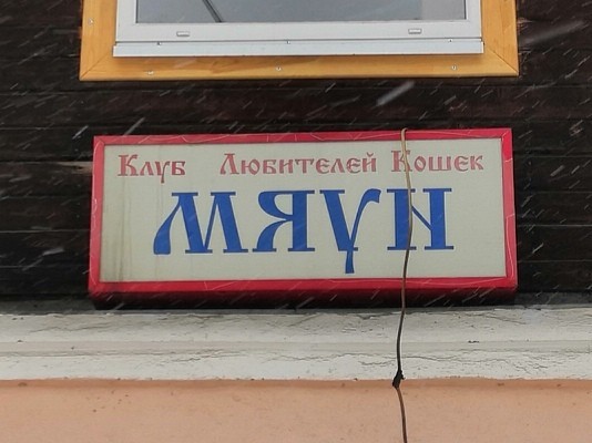 Первое правило клуба