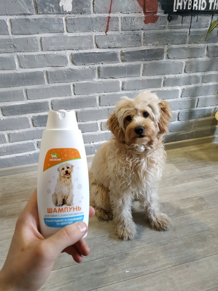 ����� ����� ������� ��� ������ ���