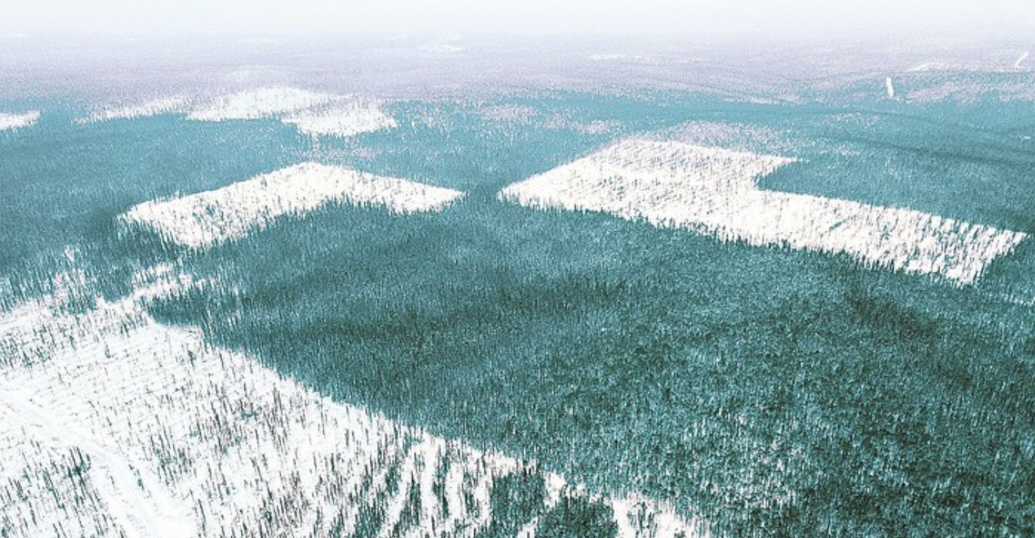 Сибирская Тайга вырубка леса