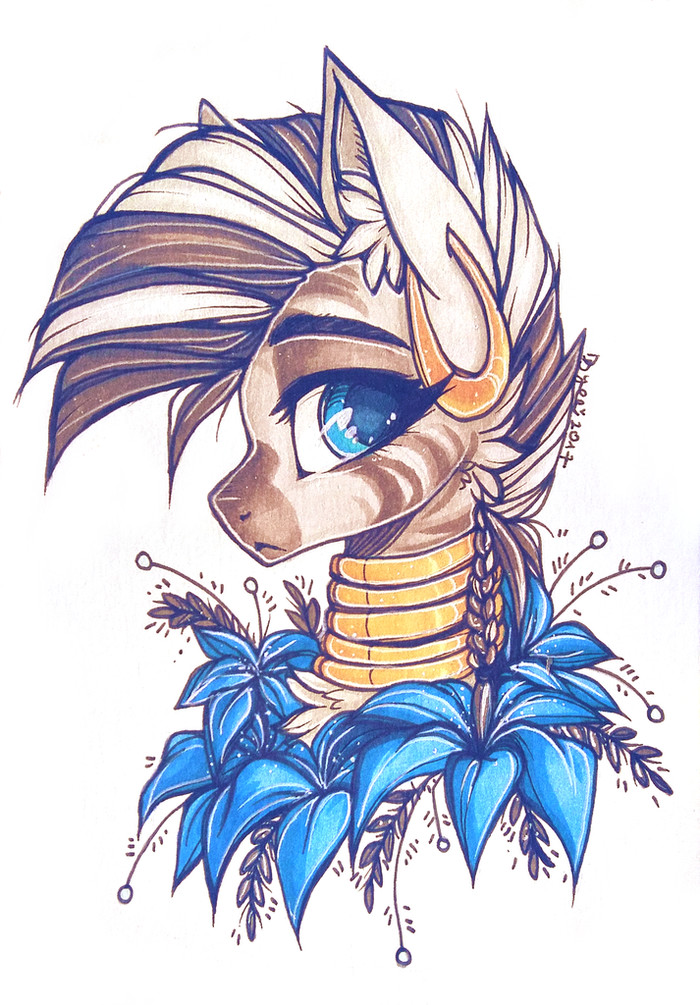  Ǹ My Little Pony, Zecora, , 