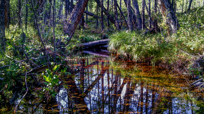 Просто немного лепоты вам в ленту ^_^