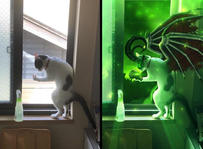 Вы не котовы!