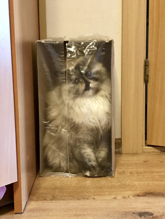 ����� �� ������������� �����!