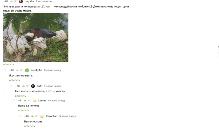 КОММЕНТАРИИ