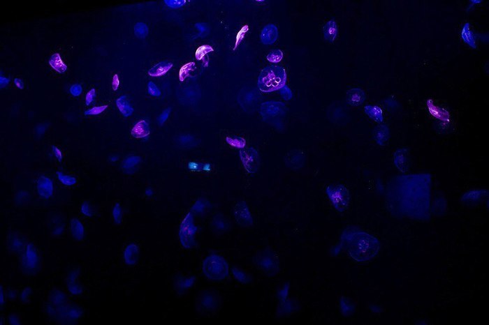 ����� � �������������� ���� (����� 2)