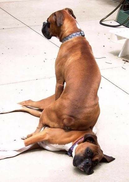 Пересядь с иглы мужского одобрения...