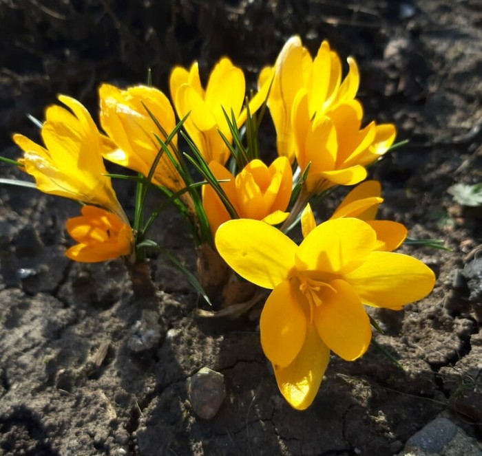 �����.�������. ������������� ����.