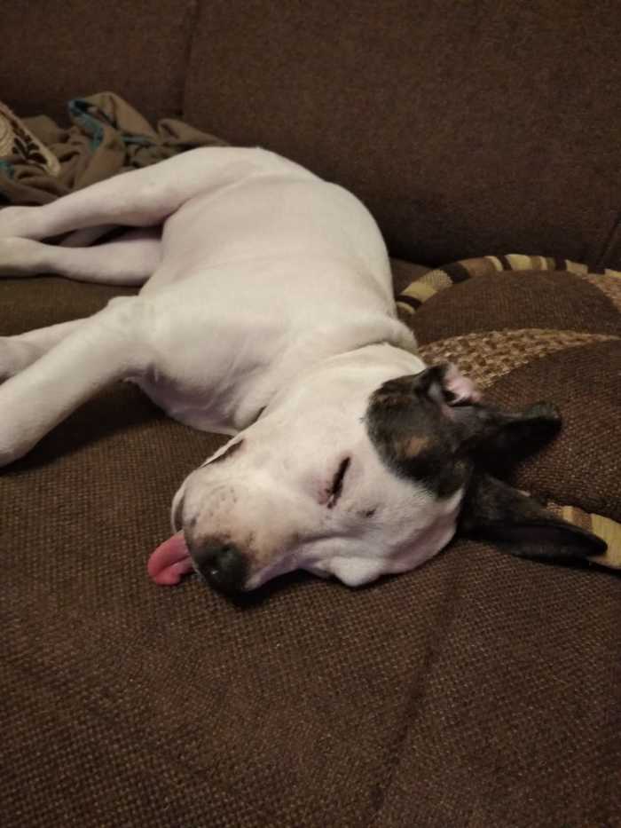 ������ ����, ���� ������ ���������� :)