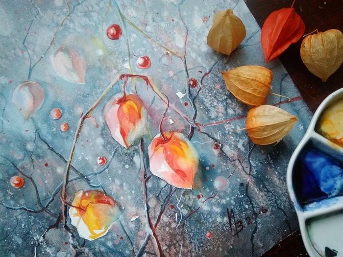 Физалис укажет куда идти