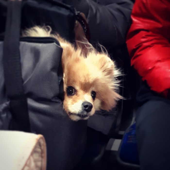 Приехали за зря.