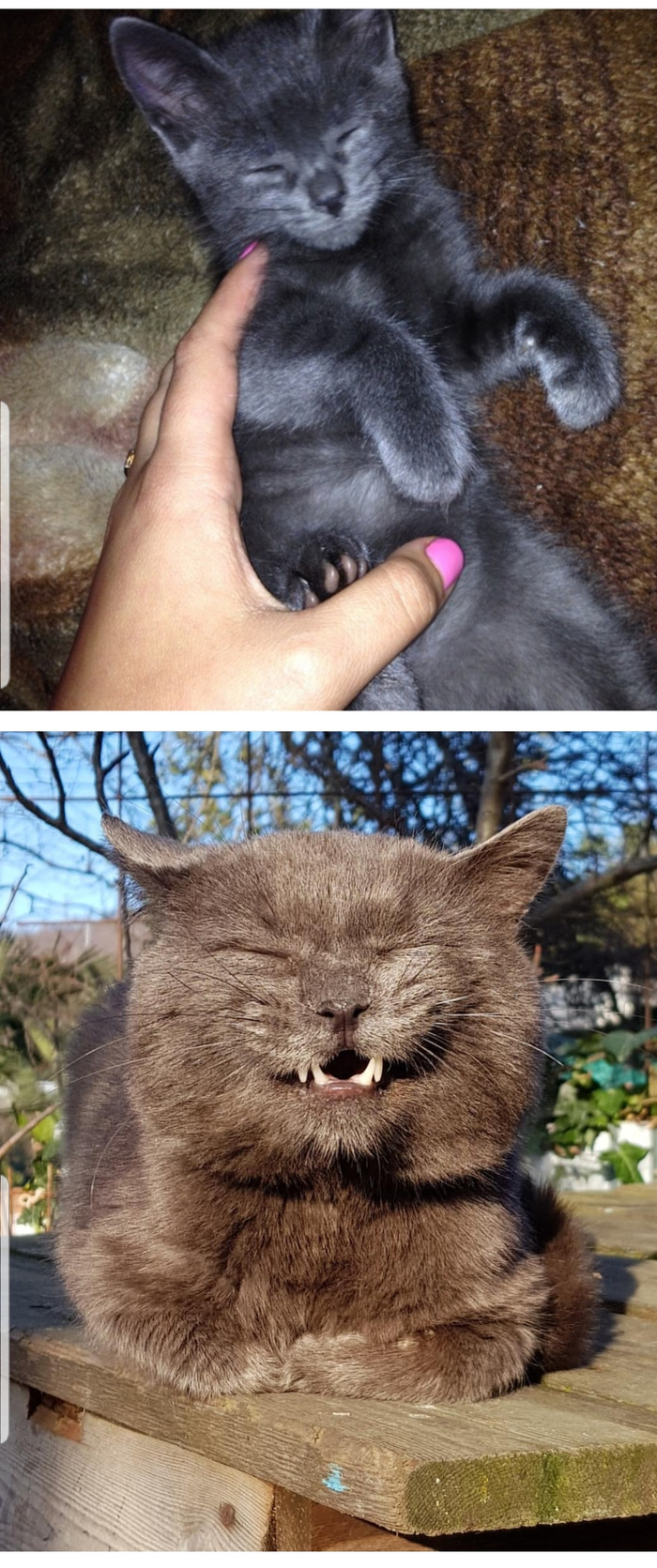 ����-�����