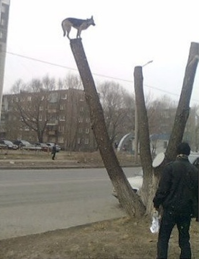 ��� � �����?