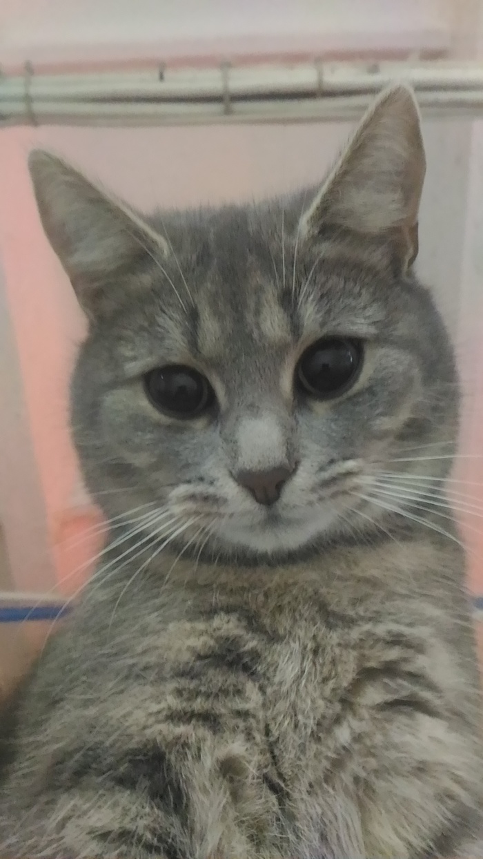 Эти глаза...