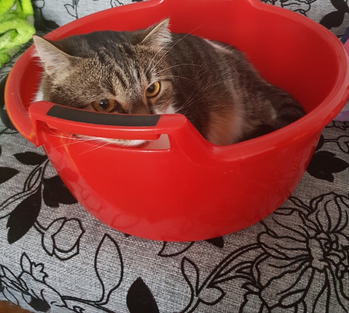 Вот так удобно)