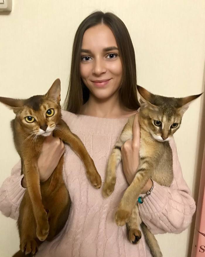 Красивые киски | Пикабу