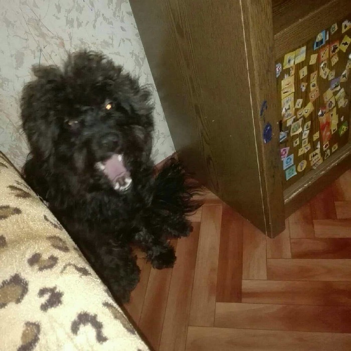     , , ,   ,  ,  ,  